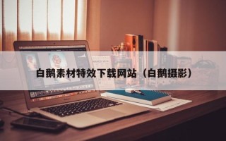 长春白鹅素材特效下载网站（白鹅摄影）